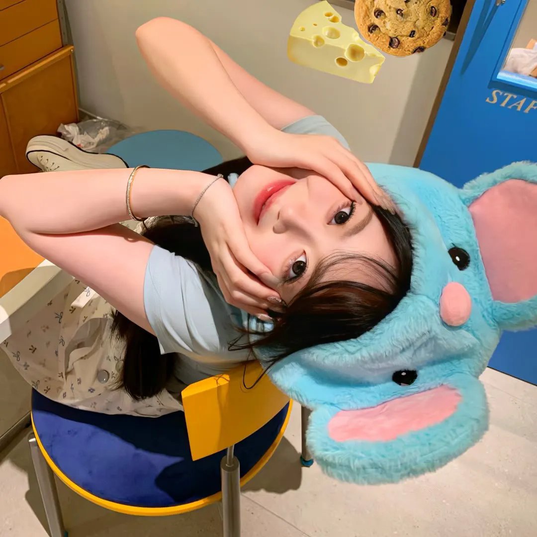 鸟!鸟!鸟!